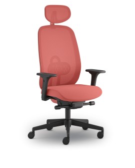 Fauteuil ergonomique Cedre couleur corail, vert et noir à La Réunion 974